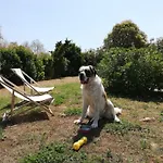 Conero Mare Campagna Il Casale Le Maschere بيت للعطل نومانا