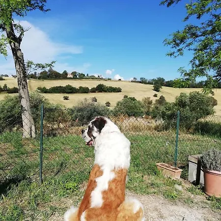 Casa de Férias Conero Mare Campagna Il Casale Le Maschere *