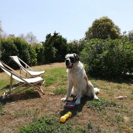 Conero Mare Campagna Il Casale Le Maschere Casa de Férias Numana