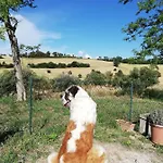 度假居 Conero Mare Campagna Il Casale Le Maschere *