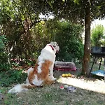 Conero Mare Campagna Il Casale Le Maschere *