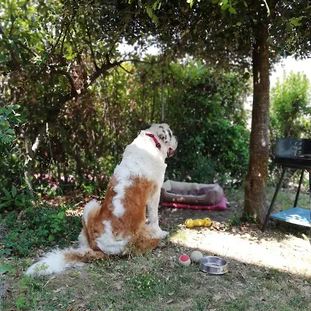 Conero Mare Campagna Il Casale Le Maschere *