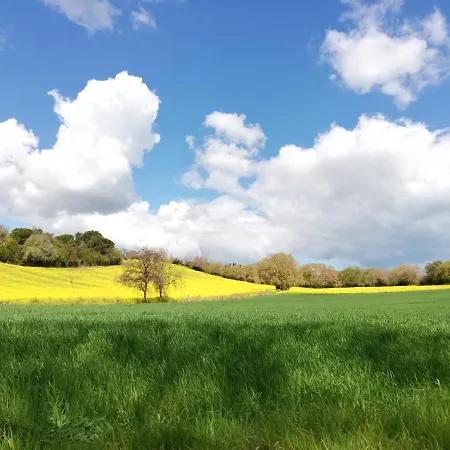 Conero Mare Campagna Il Casale Le Maschere