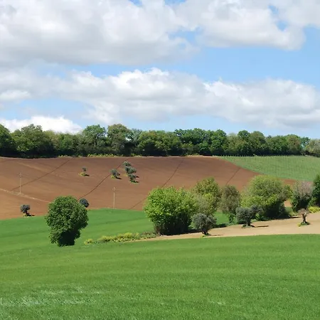Conero Mare Campagna Il Casale Le Maschere *