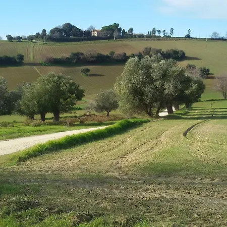 Conero Mare Campagna Il Casale Le Maschere بيت للعطل