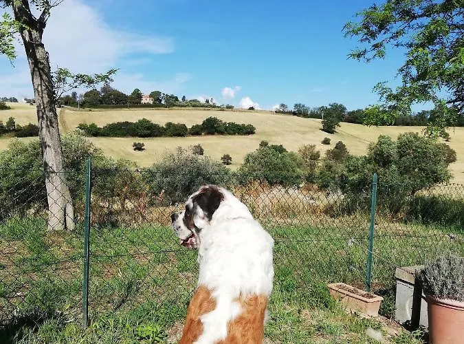 Casa vacanze Casale Le Maschere *