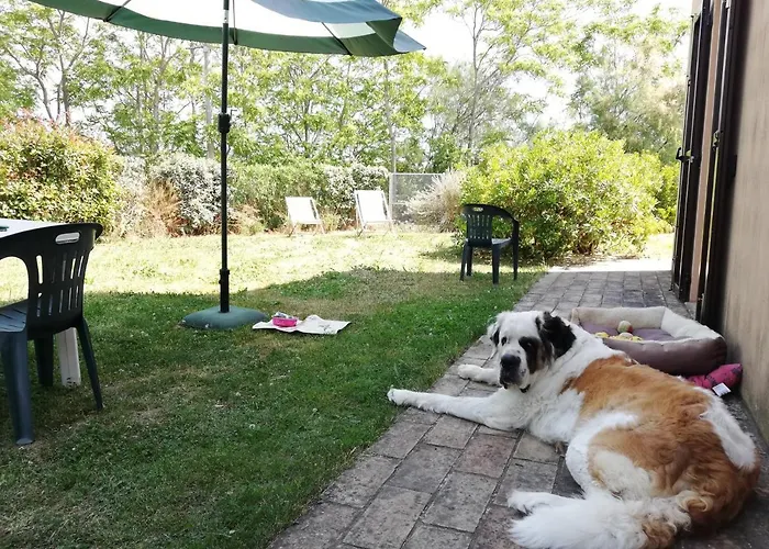 Casale Le Maschere Casa vacanze Numana