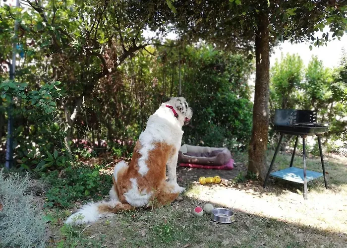 Casale Le Maschere *