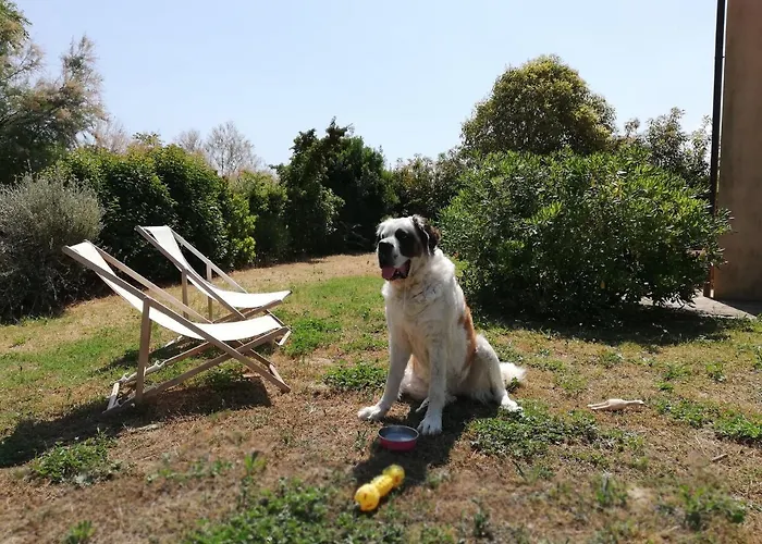Casale Le Maschere Casa vacanze Numana